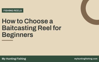 How to Choose a Baitcasting Reel for Beginners