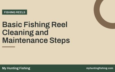 Basic Fishing Reel Cleaning and Maintenance Steps