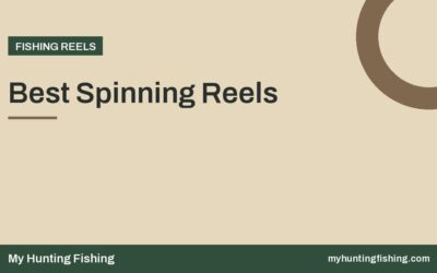 Best Spinning Reels