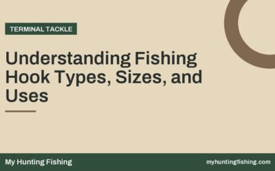 Understanding Fishing Hook Types, Sizes, and Uses