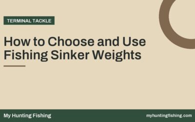 How to Choose and Use Fishing Sinker Weights