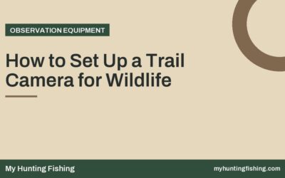 How to Set Up a Trail Camera for Wildlife