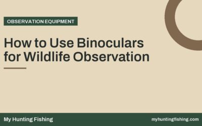 How to Use Binoculars for Wildlife Observation