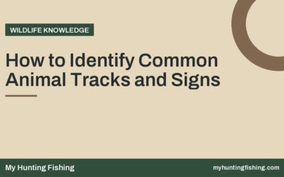 How to Identify Common Animal Tracks and Signs