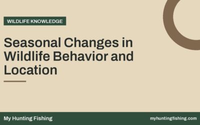 Seasonal Changes in Wildlife Behavior and Location