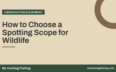 How to Choose a Spotting Scope for Wildlife