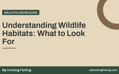 Understanding Wildlife Habitats: What to Look For
