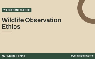Wildlife Observation Ethics